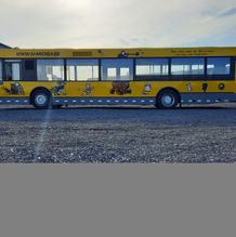 Bus 3768 - 3